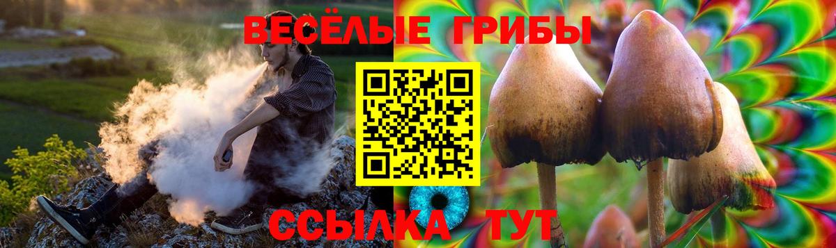 Костомукша  Псилоцибиновые грибы мухоморы  Вход с VPN  Псилоцибиновые грибы Magic Shrooms 
