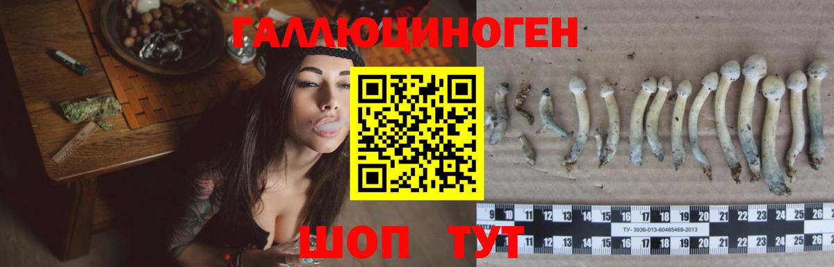 Псилоцибиновые грибы ЛСД Костомукша